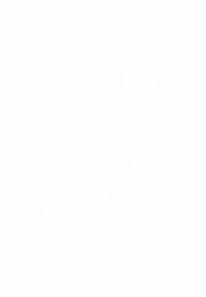 Logo_B_only_Weiss